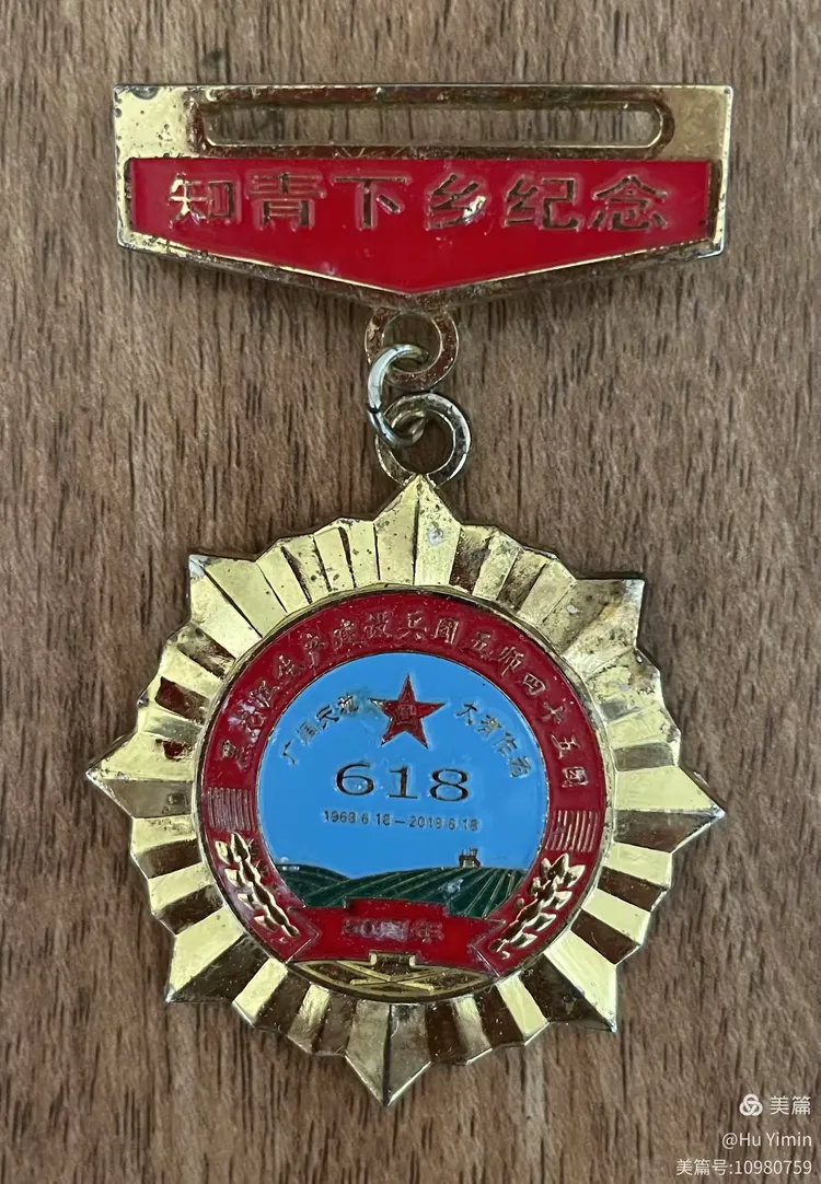 知青上山下乡纪念章